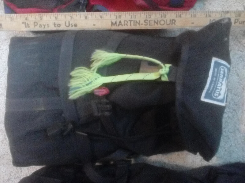 serratus panniers